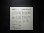 0805-19.jpg