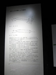 0805-21.jpg