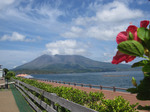 0807-03.jpg
