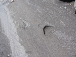 0807-08.jpg