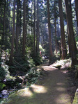 0906-10.jpg