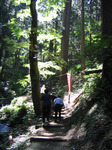0906-11.jpg