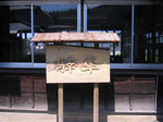 0906-13.jpg