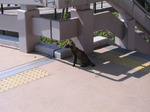 0907-04.jpg